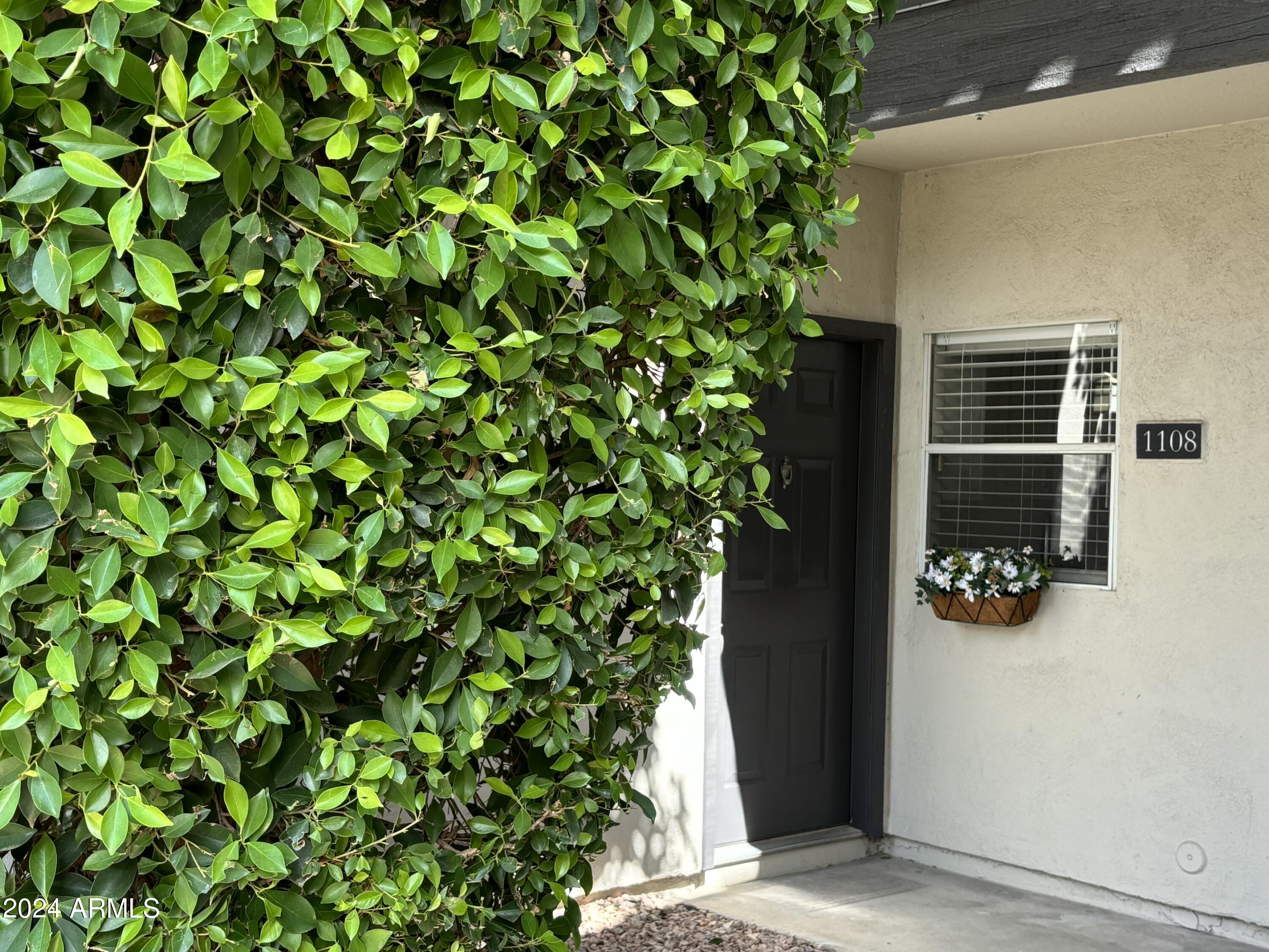 14145 N 92nd Street 1108