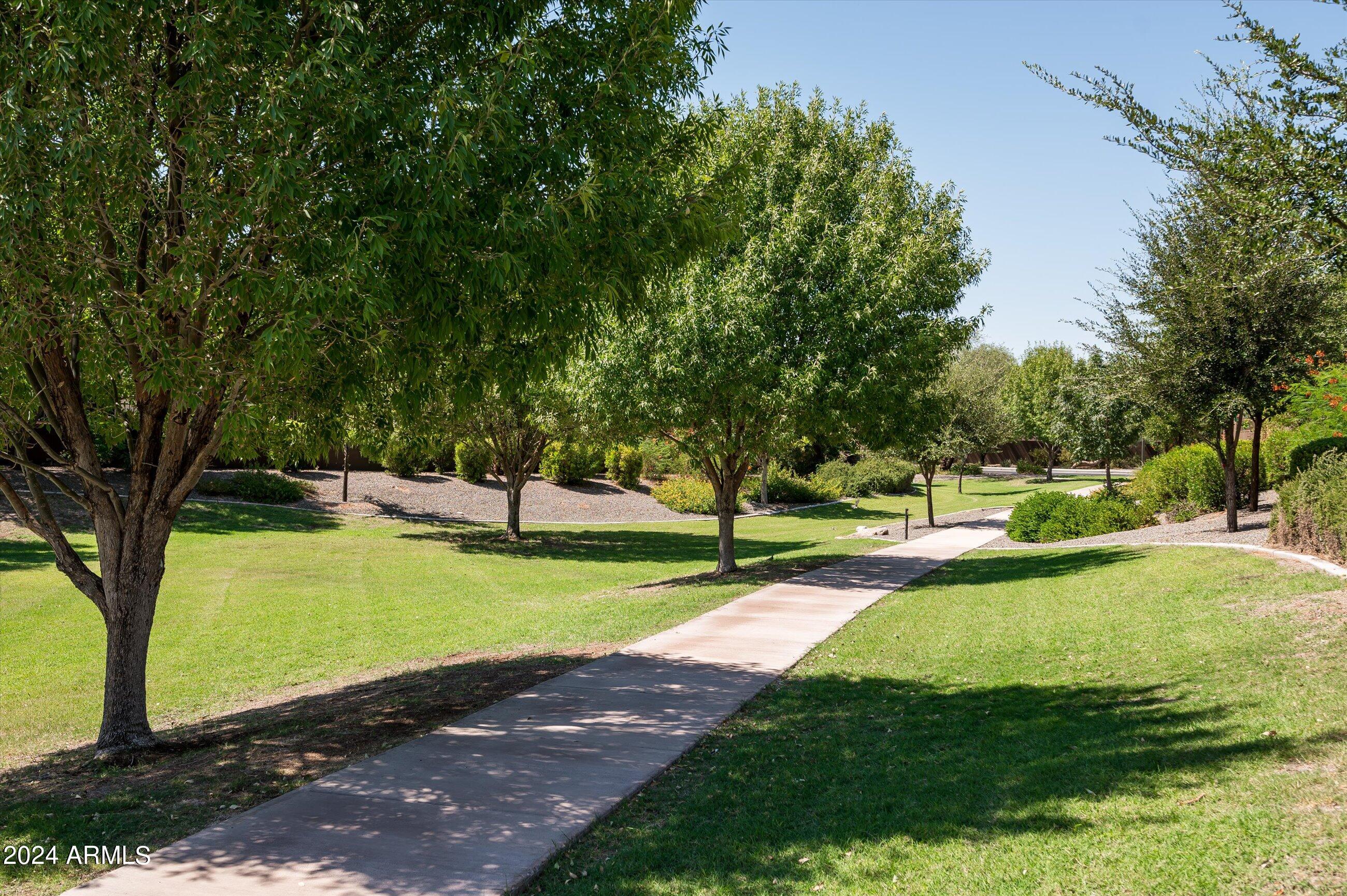 3113 E Half Hitch Place