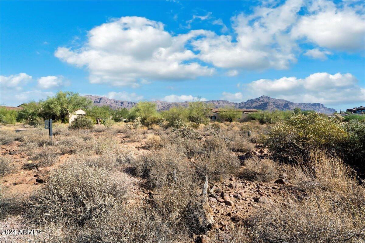 3467 S FIRST WATER Trail, 44