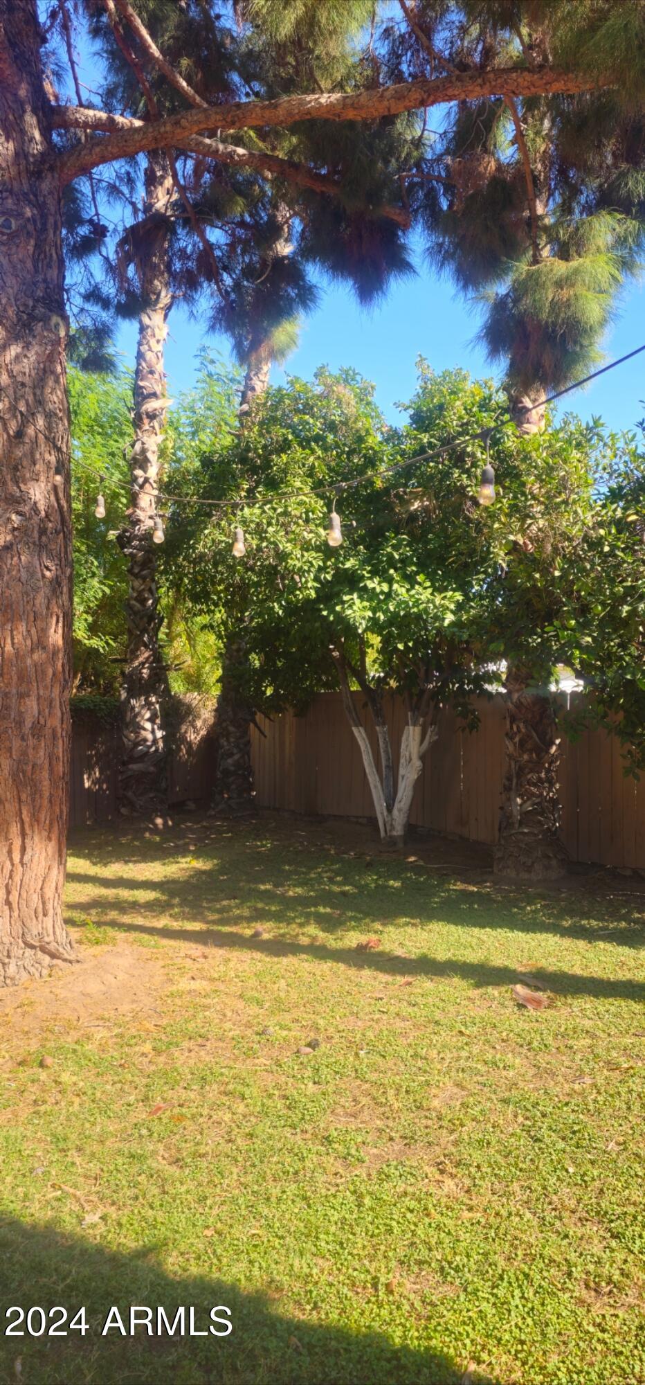 1320 E COOLIDGE Street