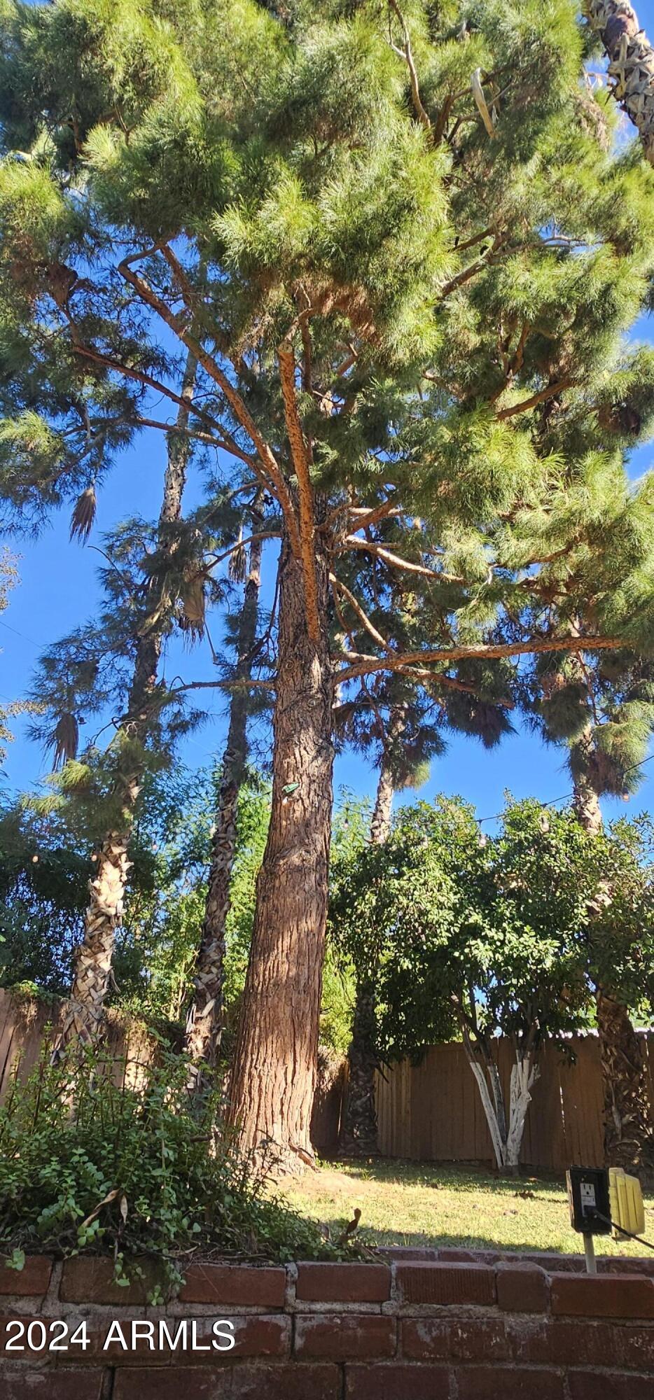 1320 E COOLIDGE Street