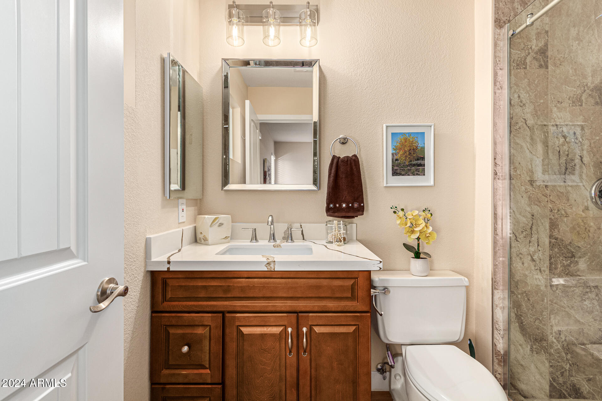 16213 N DESERT HOLLY Drive