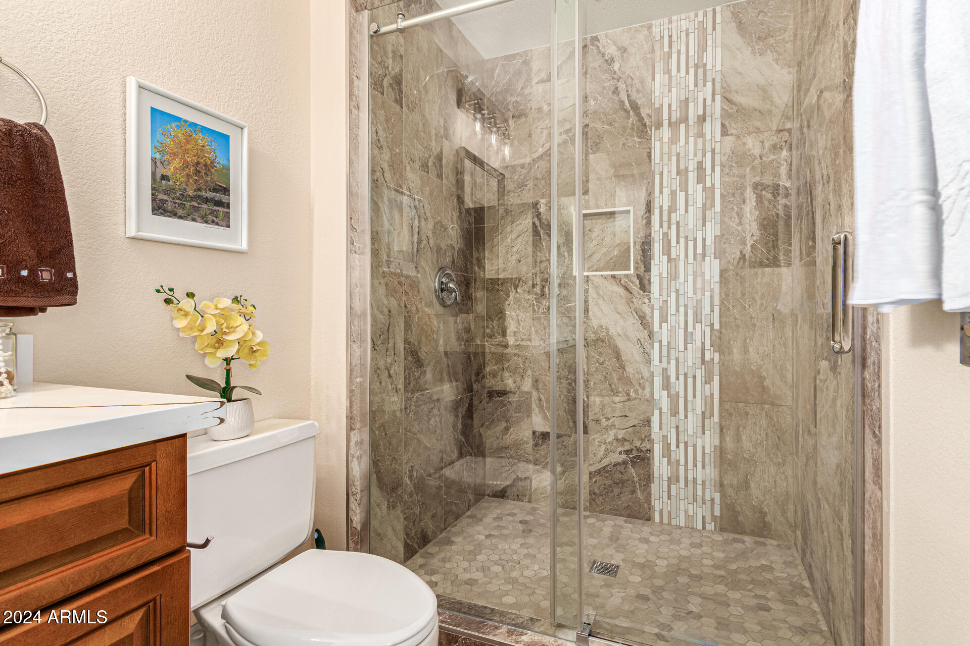 16213 N DESERT HOLLY Drive