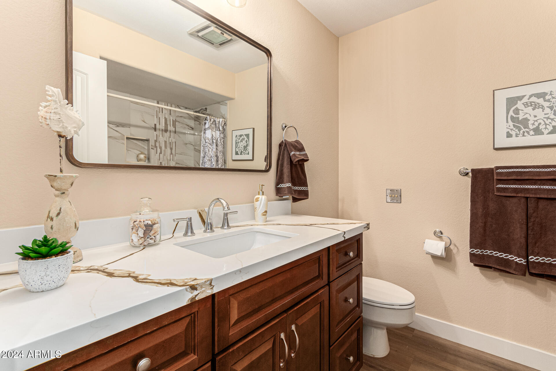 16213 N DESERT HOLLY Drive