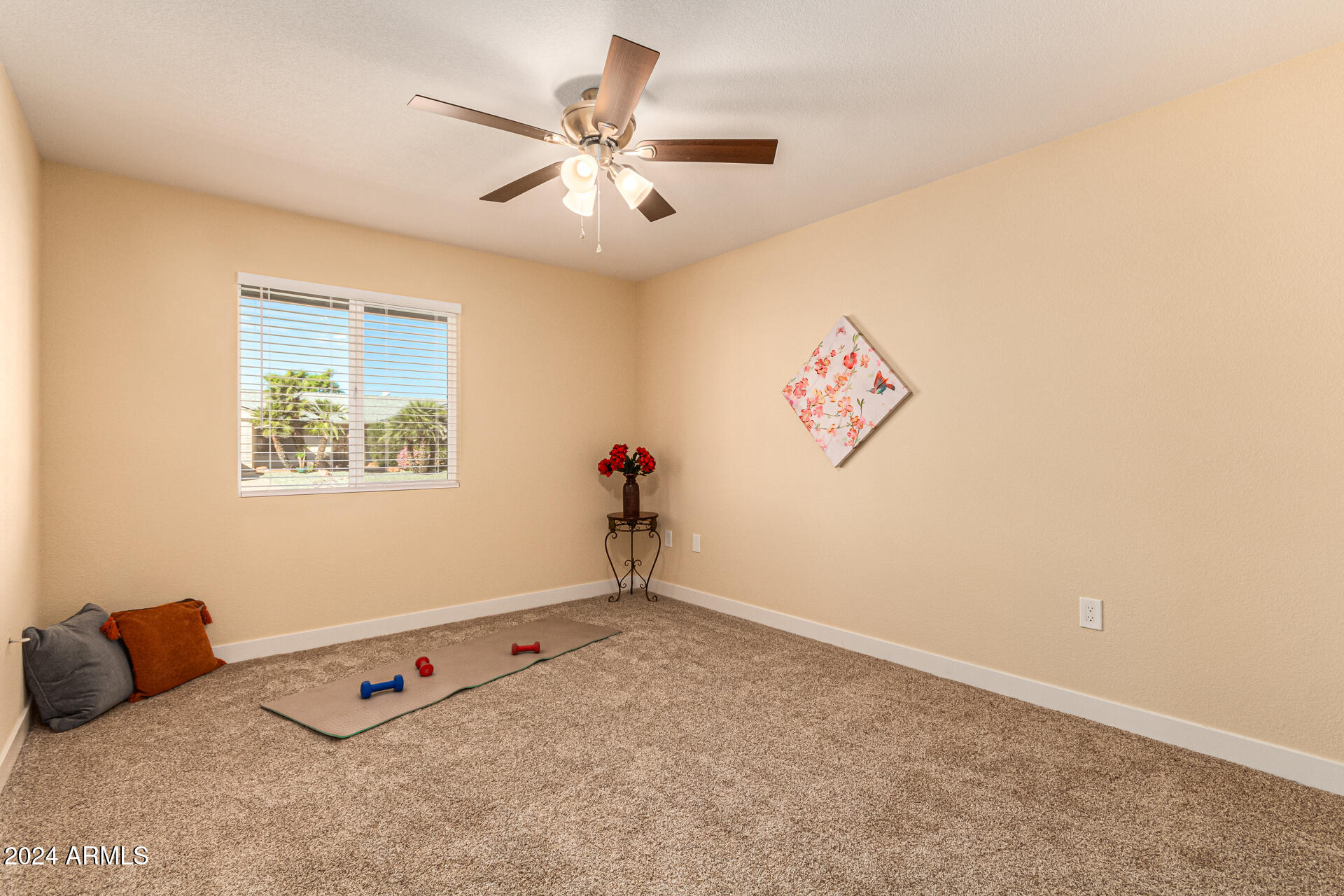 16213 N DESERT HOLLY Drive