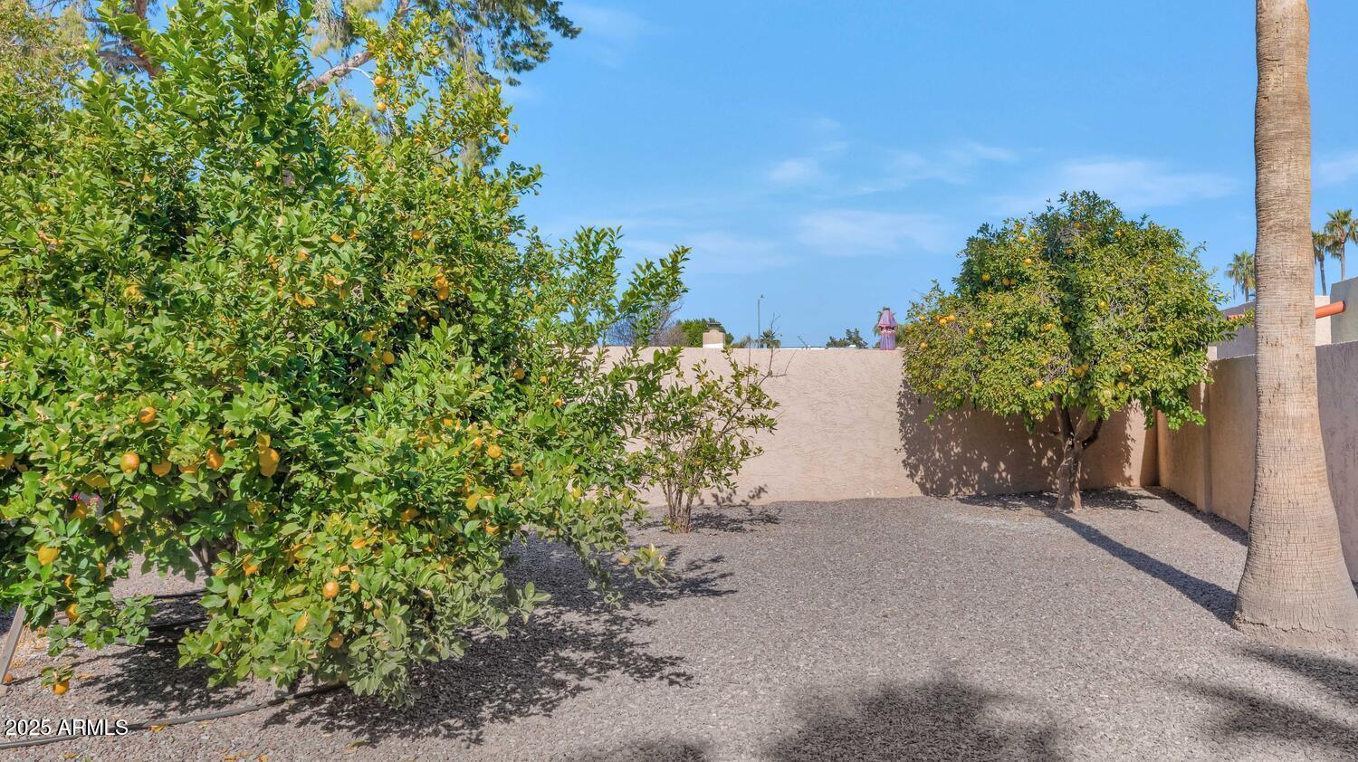 7258 E MANZANITA Drive