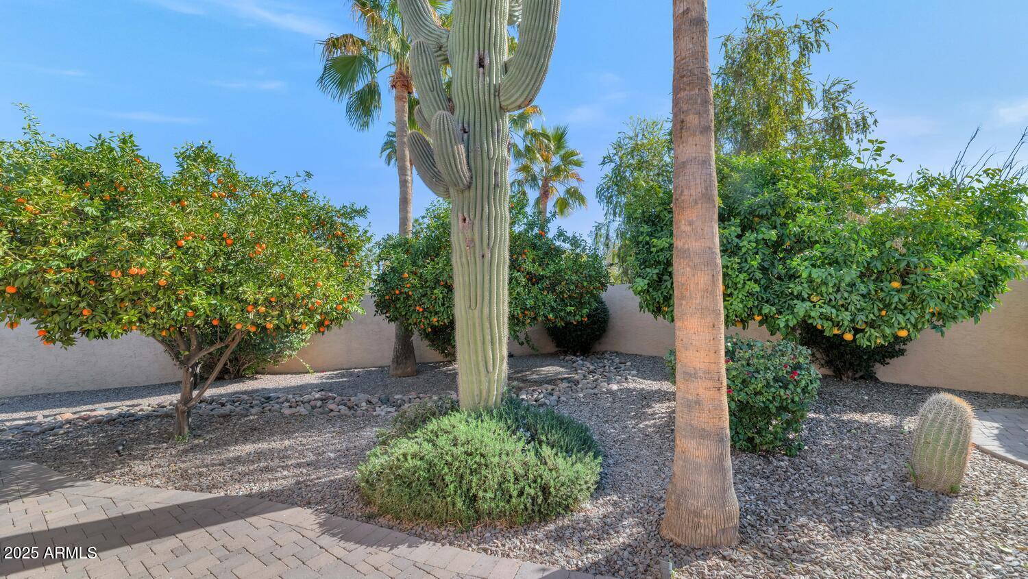 7258 E MANZANITA Drive