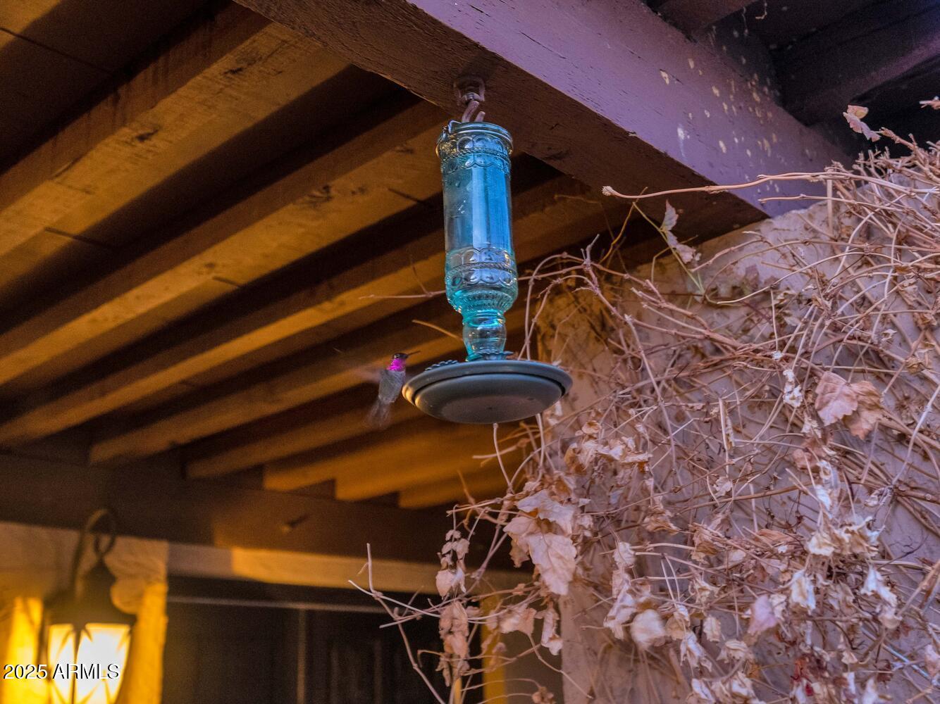 7258 E MANZANITA Drive