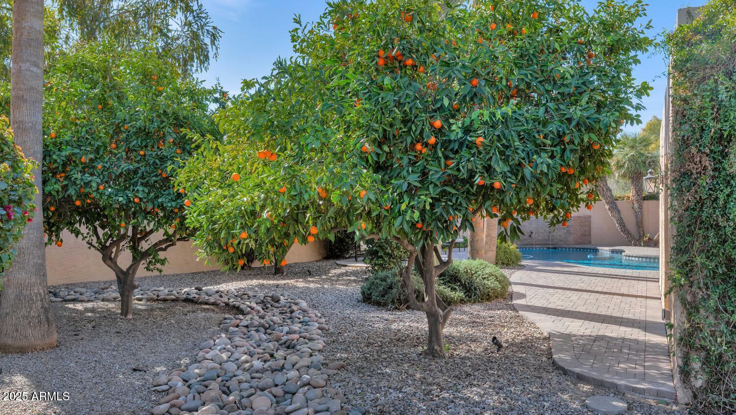 7258 E MANZANITA Drive