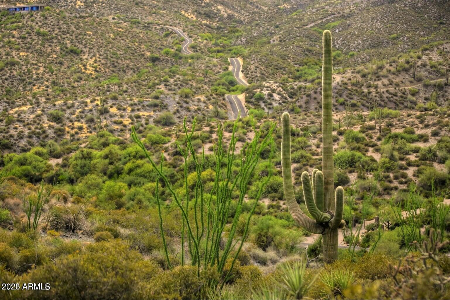 42242 N CHARBRAY Drive # 25