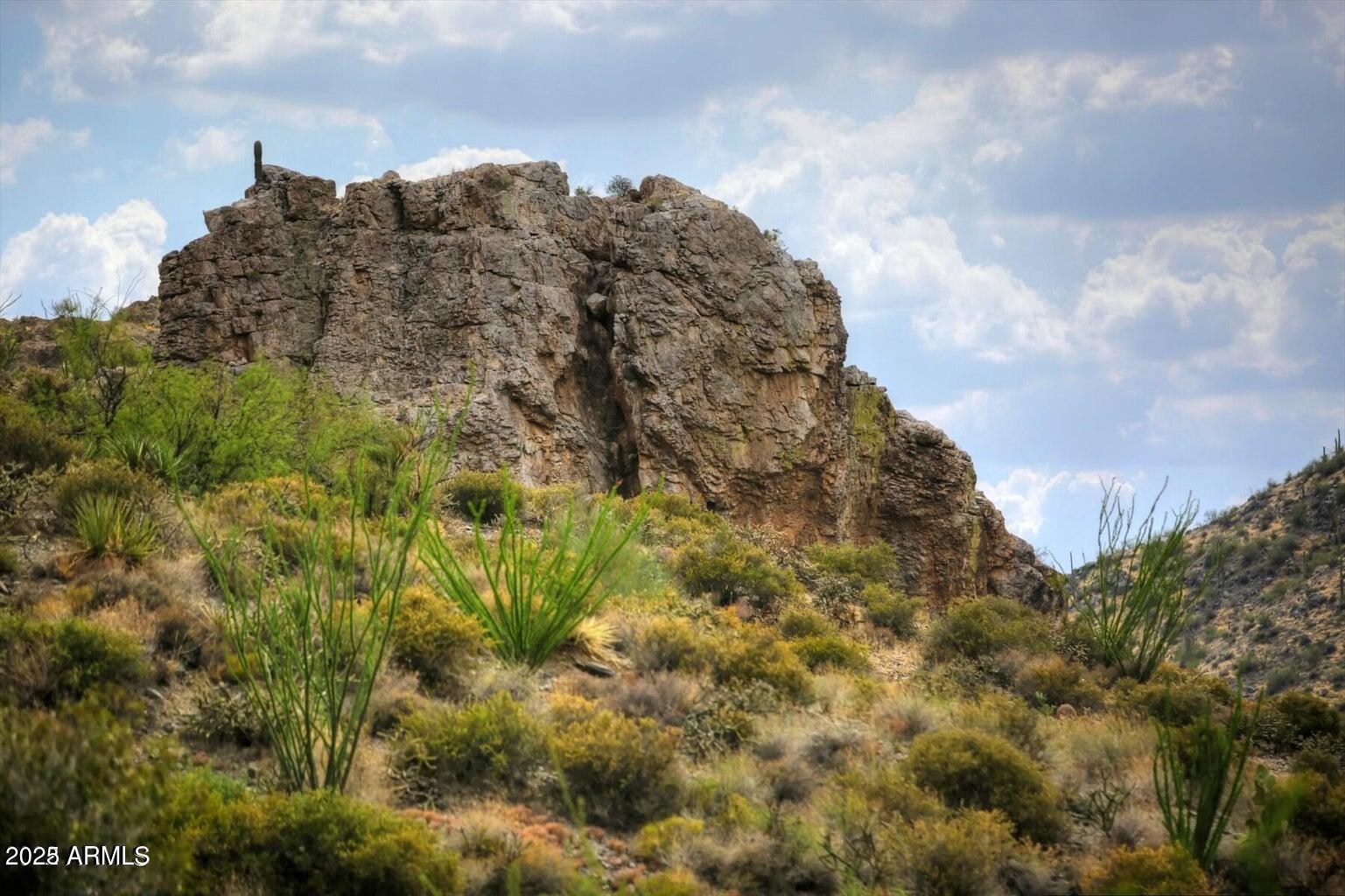 42242 N CHARBRAY Drive # 25