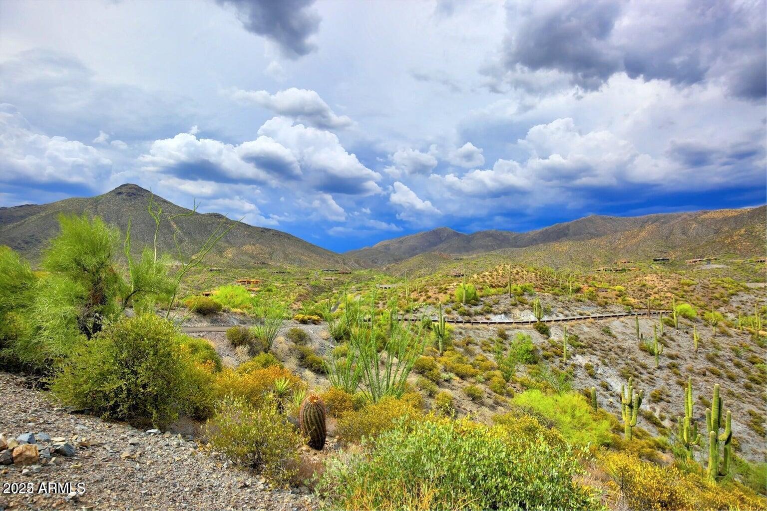 42242 N CHARBRAY Drive # 25