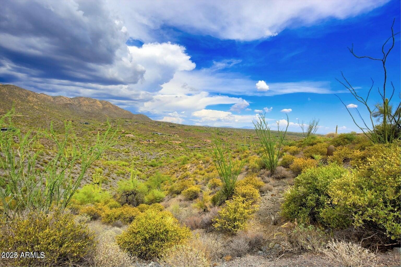 42242 N CHARBRAY Drive # 25