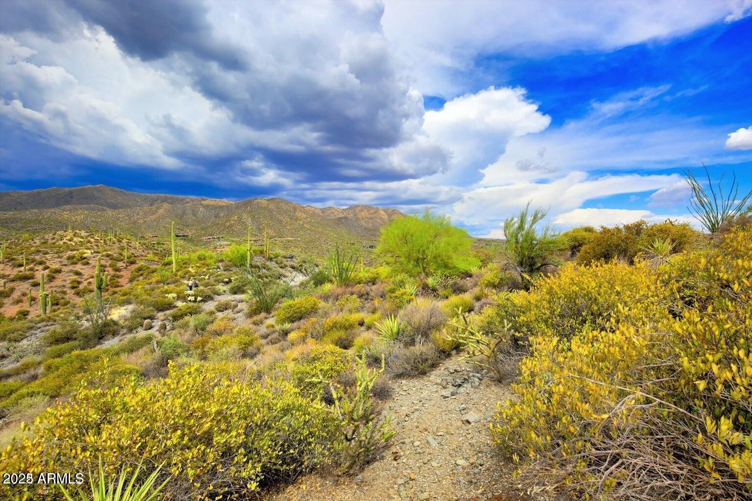 42242 N CHARBRAY Drive # 25