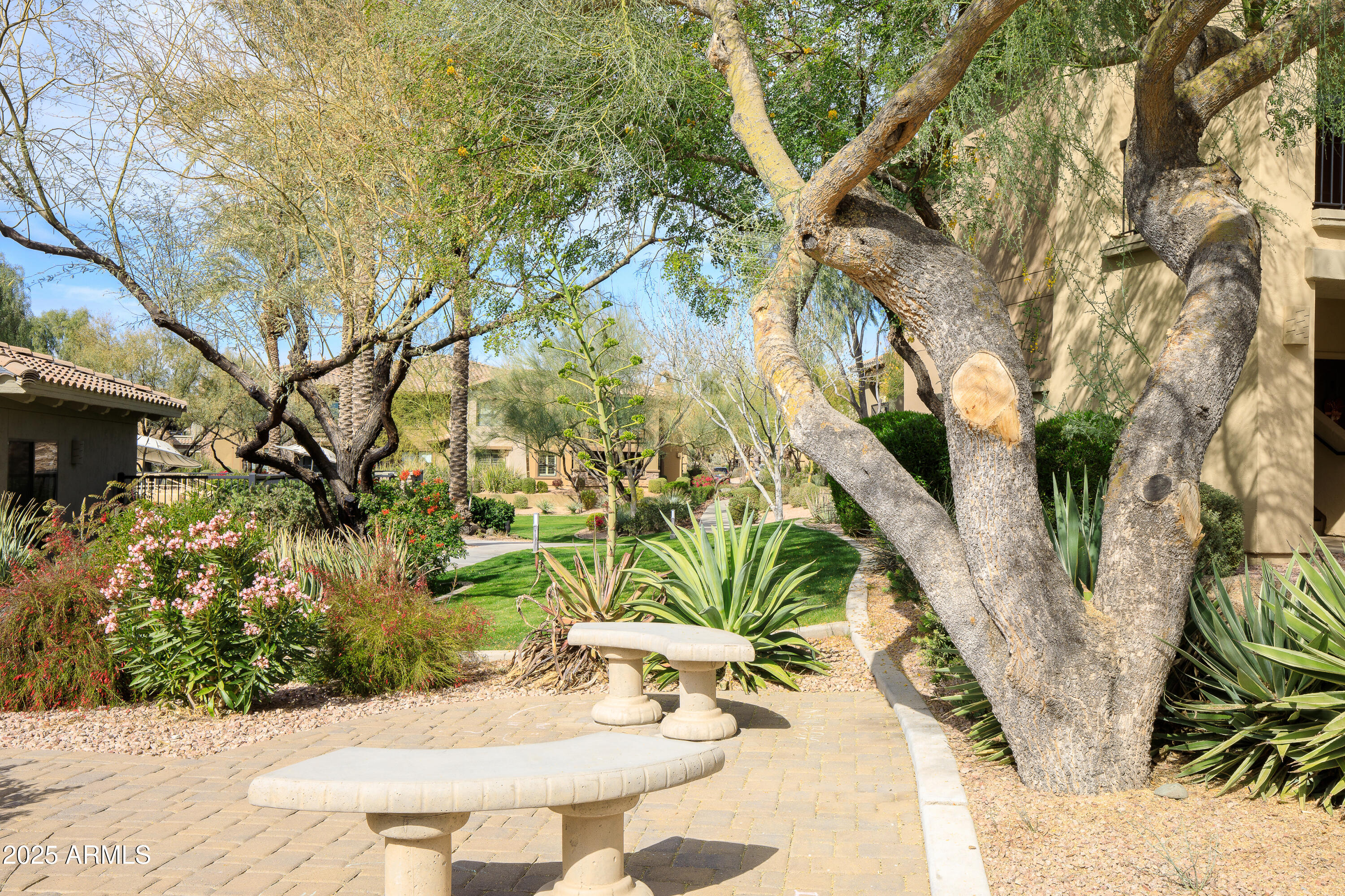 21320 N 56TH Street 1085