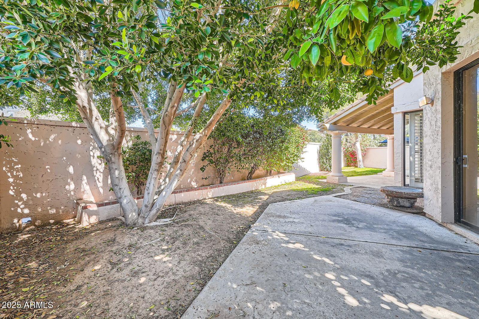 10062 E CINNABAR Avenue