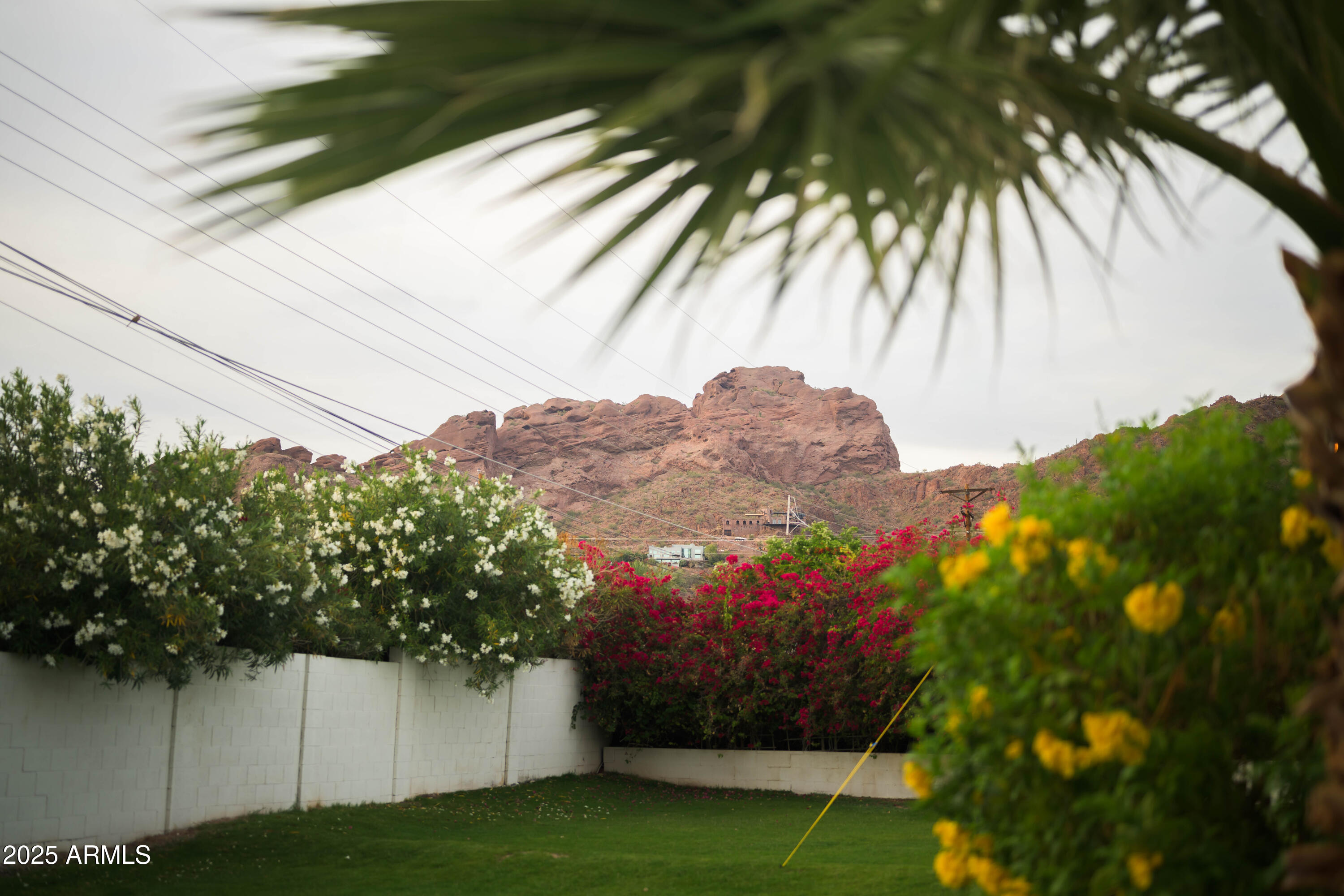 4616 N ROYAL PALM Circle