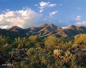 16600 N THOMPSON PEAK Parkway, 1074