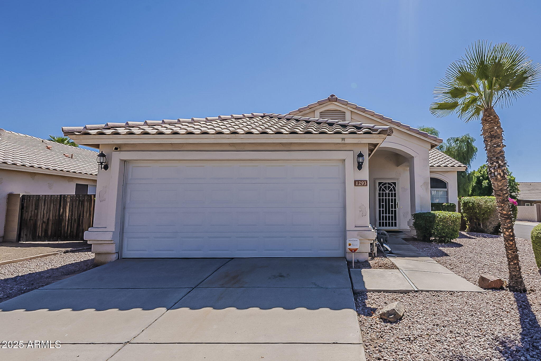 1293 W ORCHID Lane