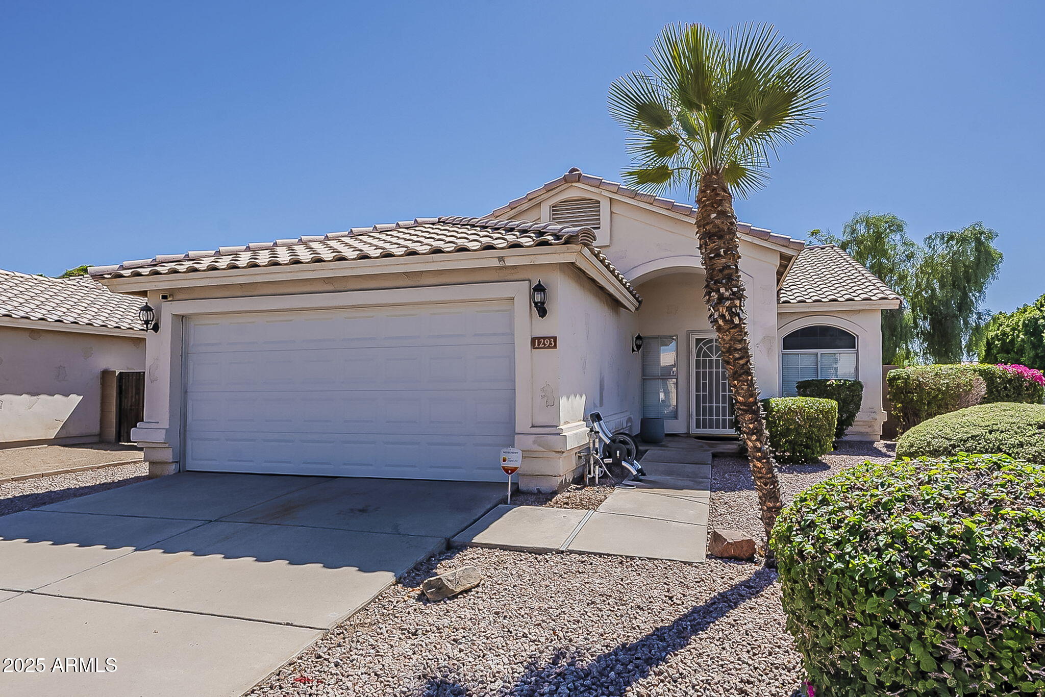 1293 W ORCHID Lane