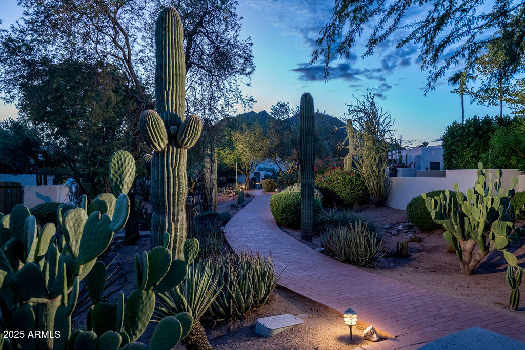 5101 N CASA BLANCA Drive 215