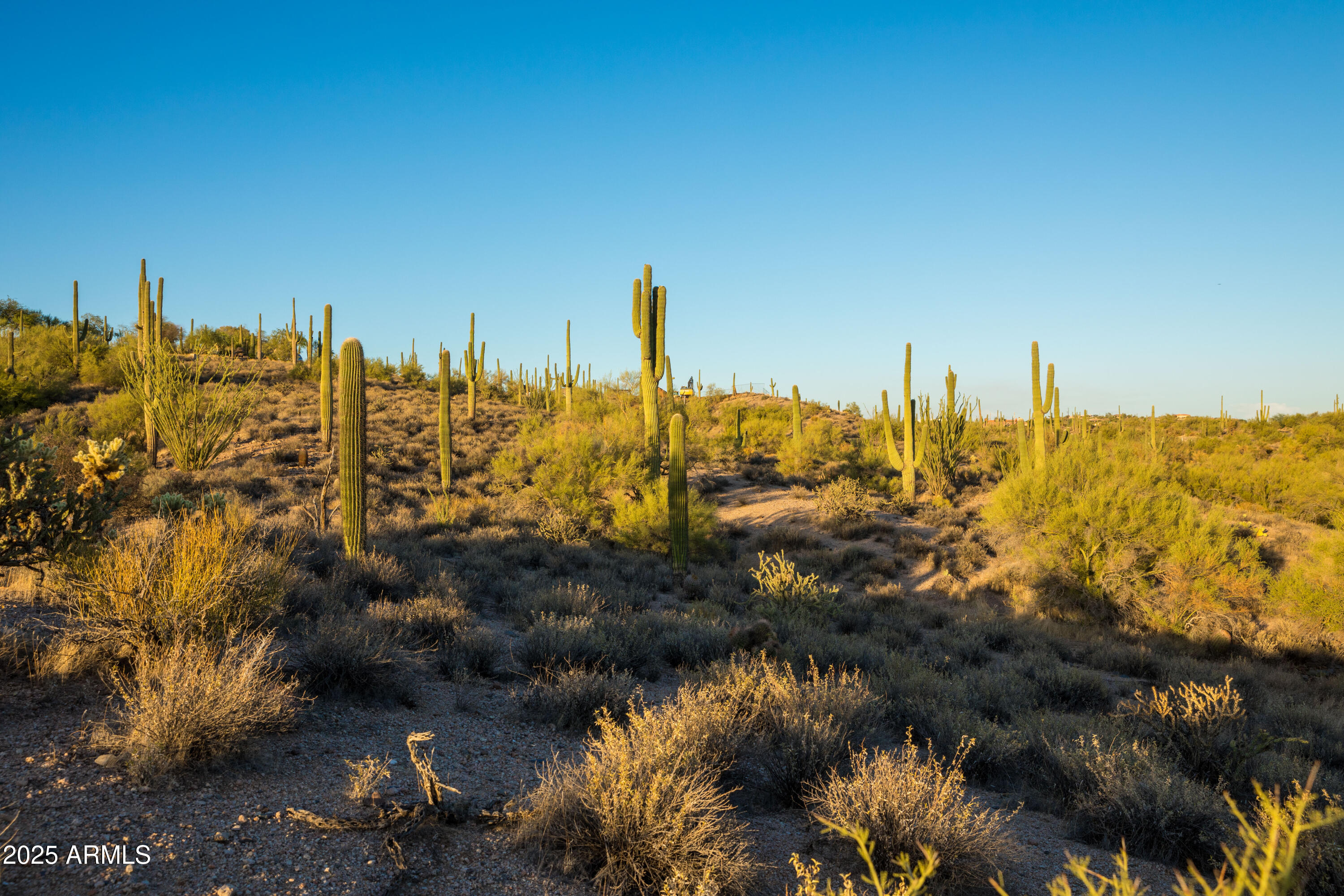 7650 E RISING SUN Road, -, Carefree Unit: -