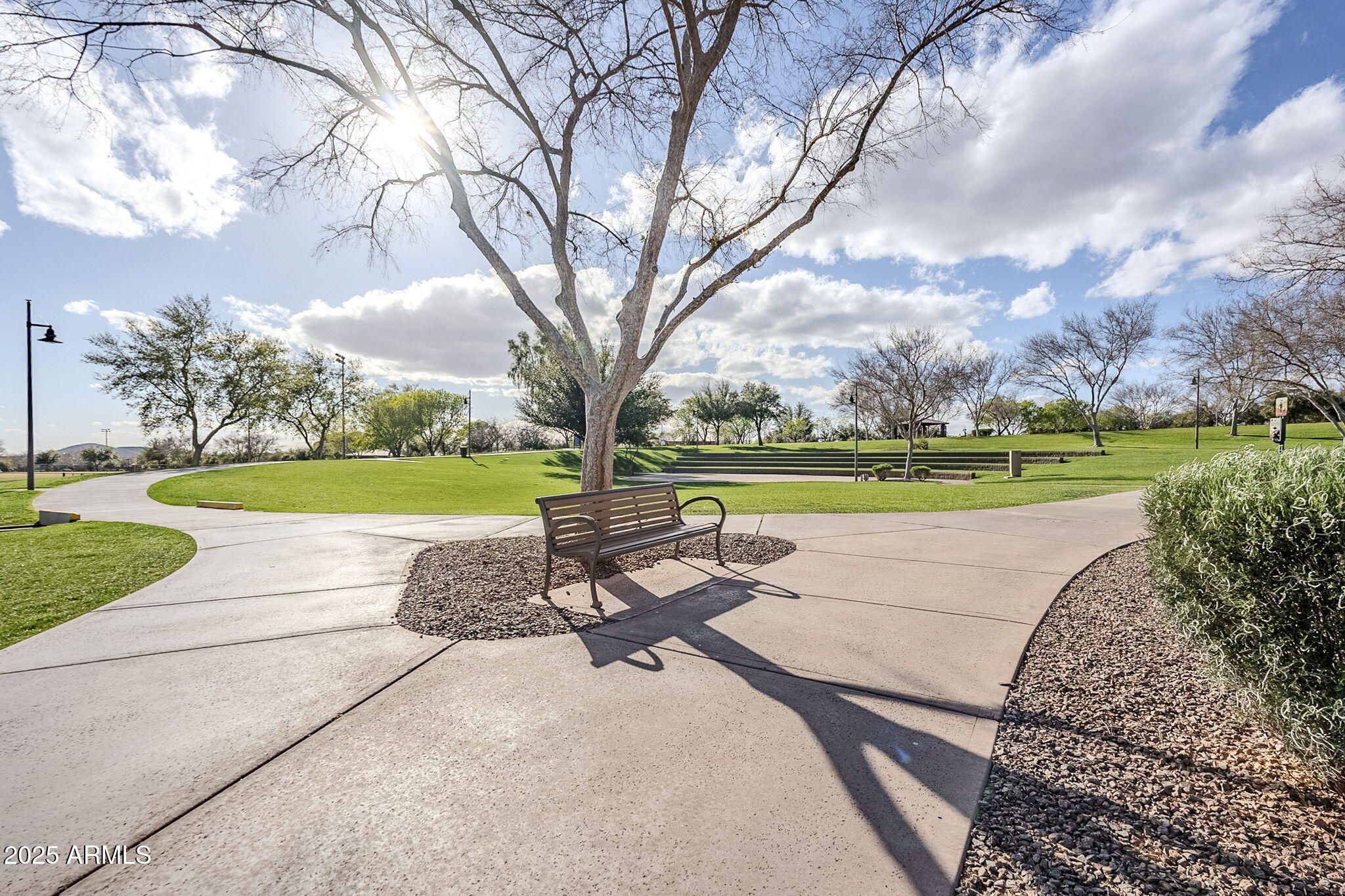 3703 W MCCAULEY Court
