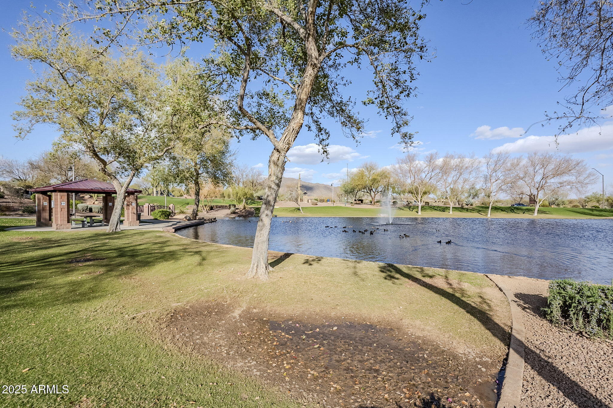 3703 W MCCAULEY Court