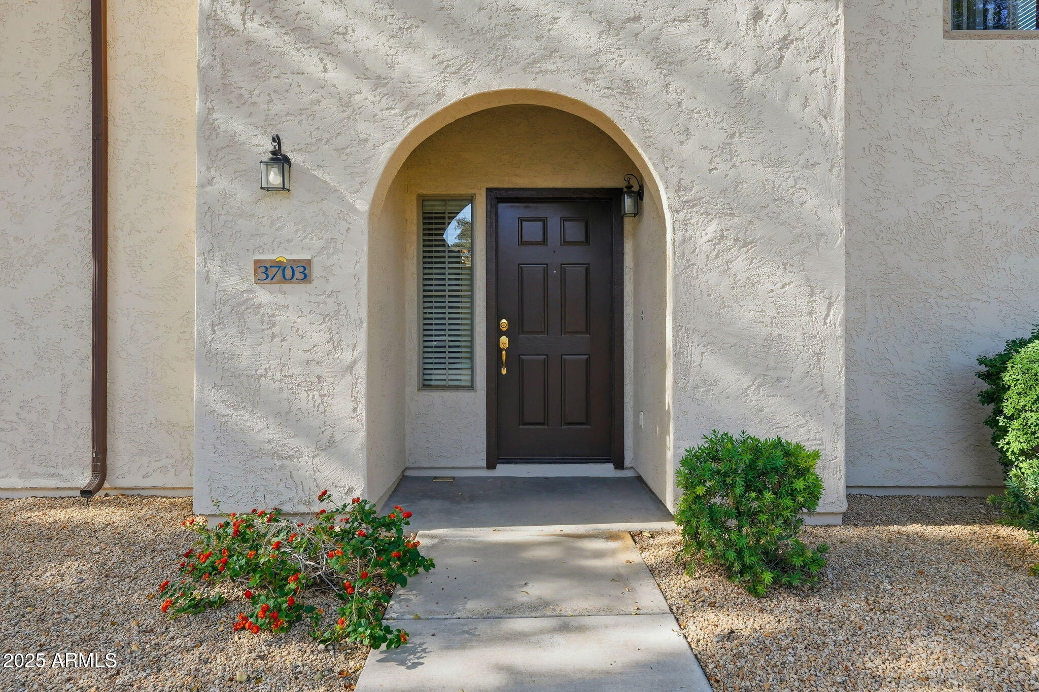 3703 W MCCAULEY Court