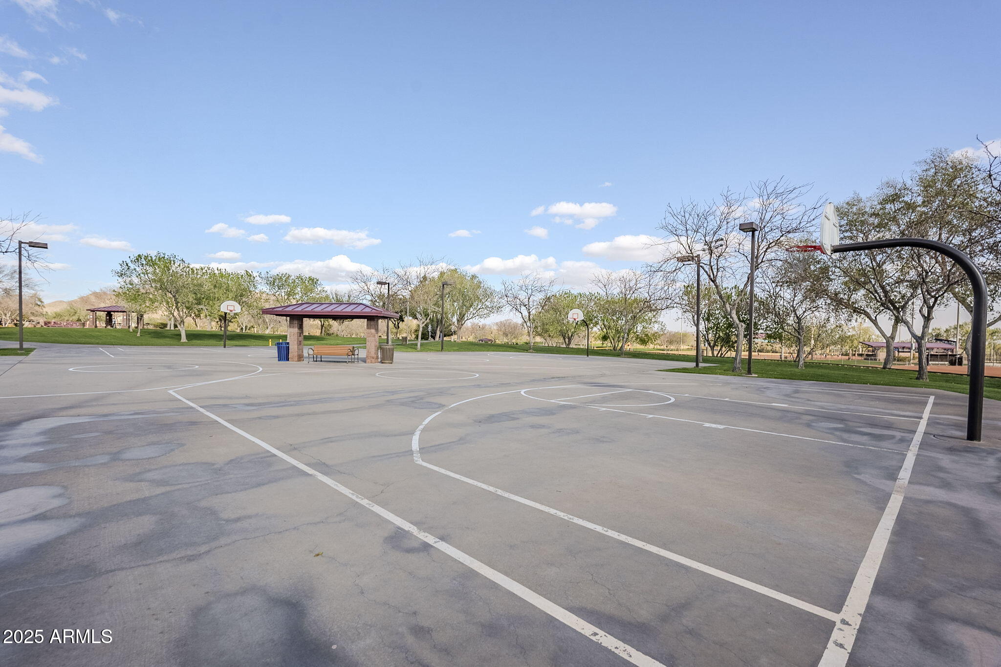 3703 W MCCAULEY Court