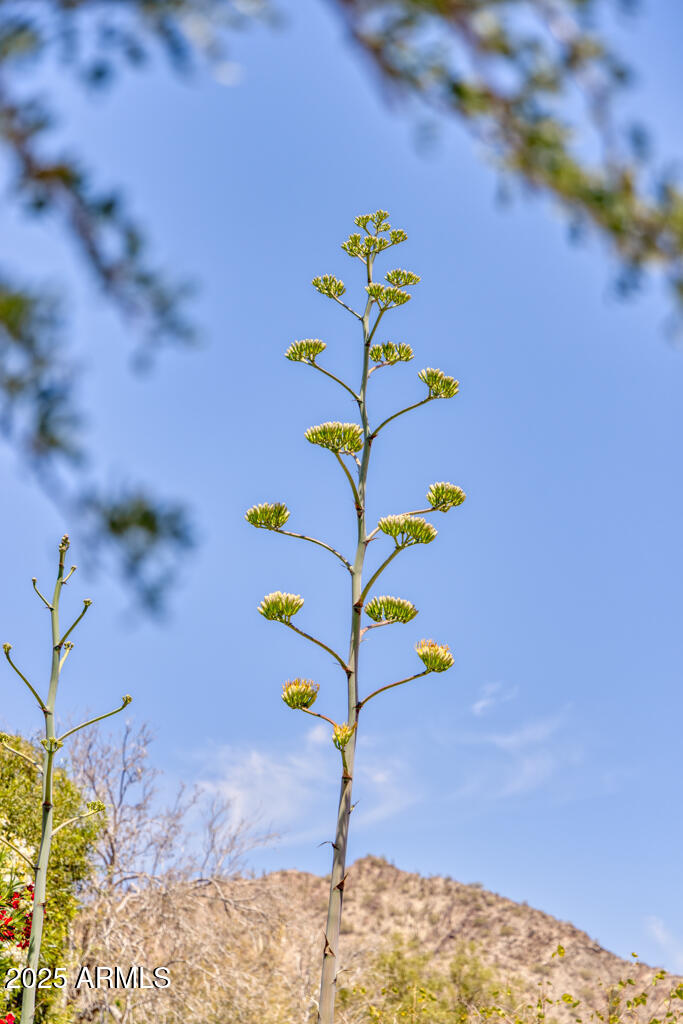 7224 N LAKESIDE Lane