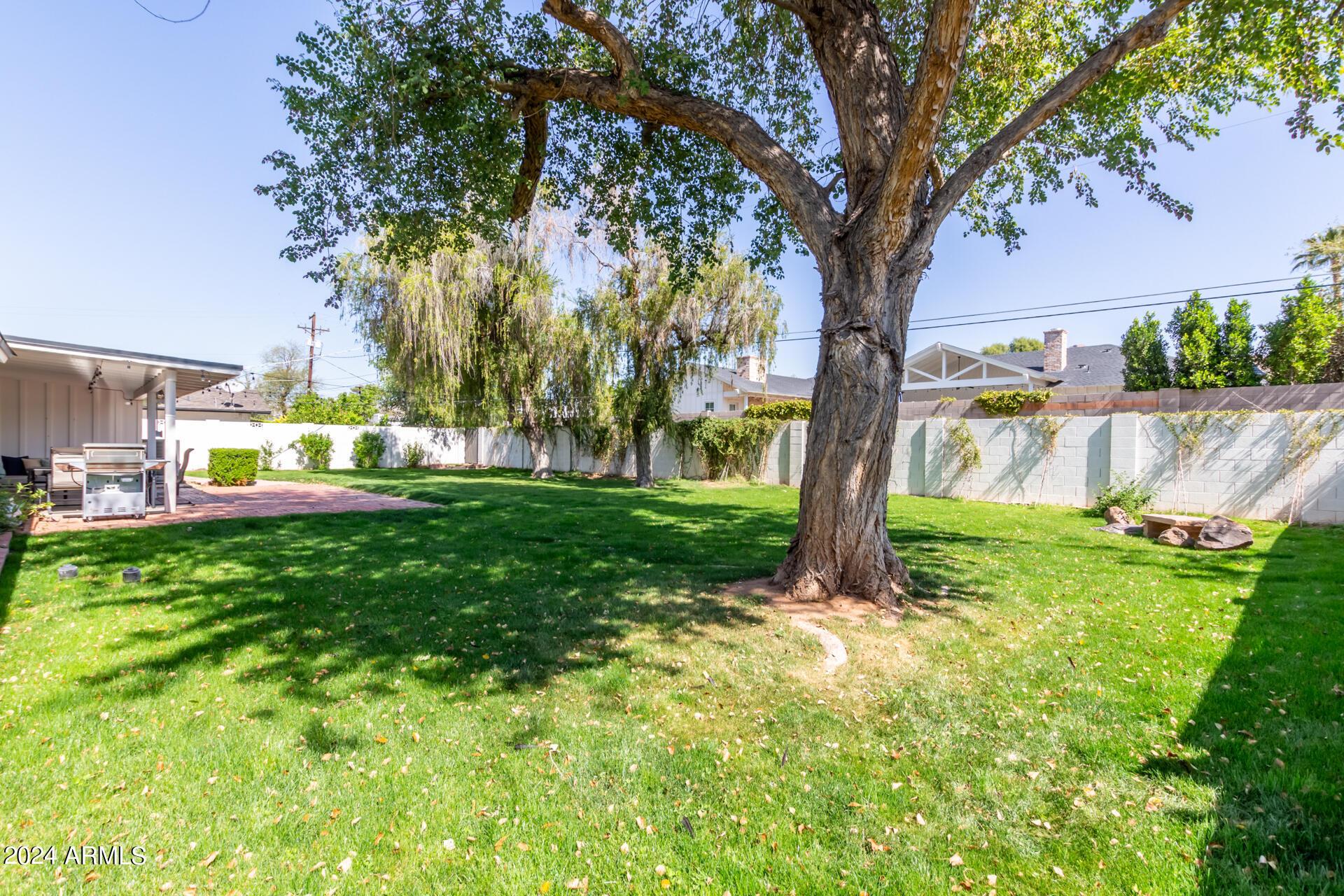 4536 E Calle Redonda