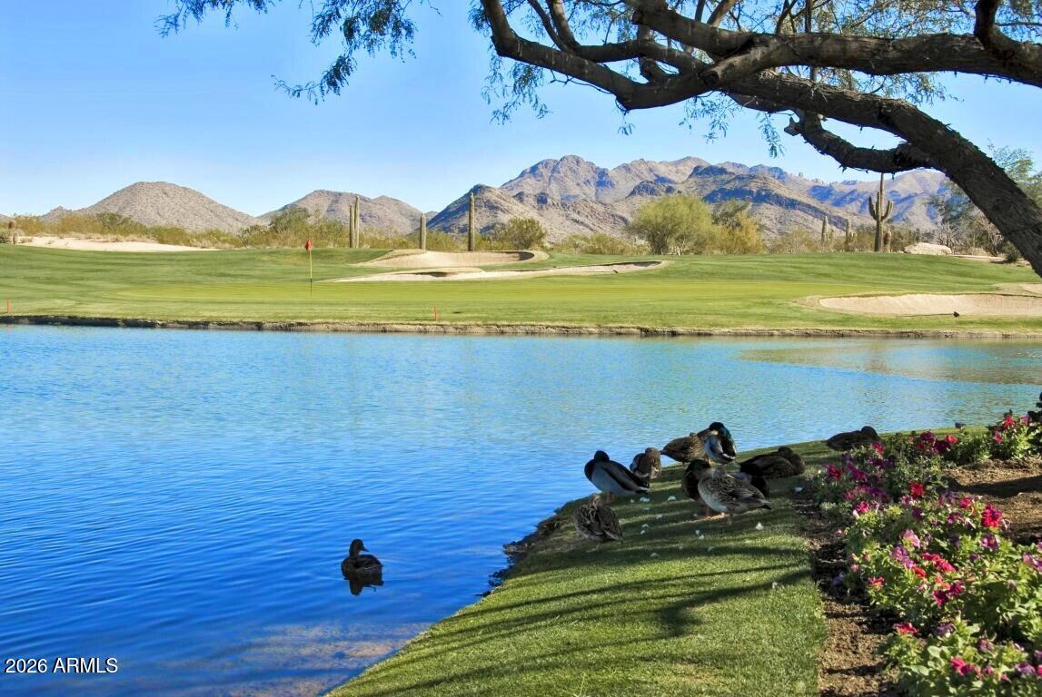 19700 N 76TH Street 2142