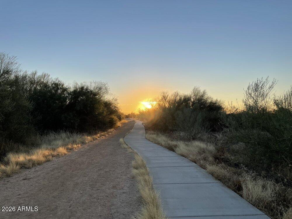 4631 E LONE CACTUS Drive