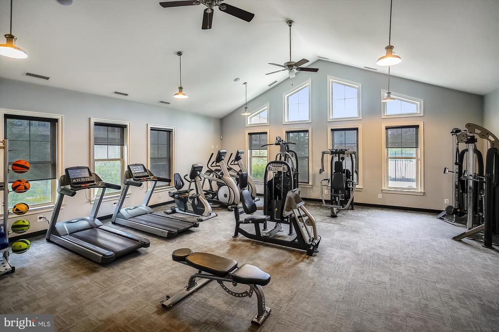 3767 Cedar Mountain Way