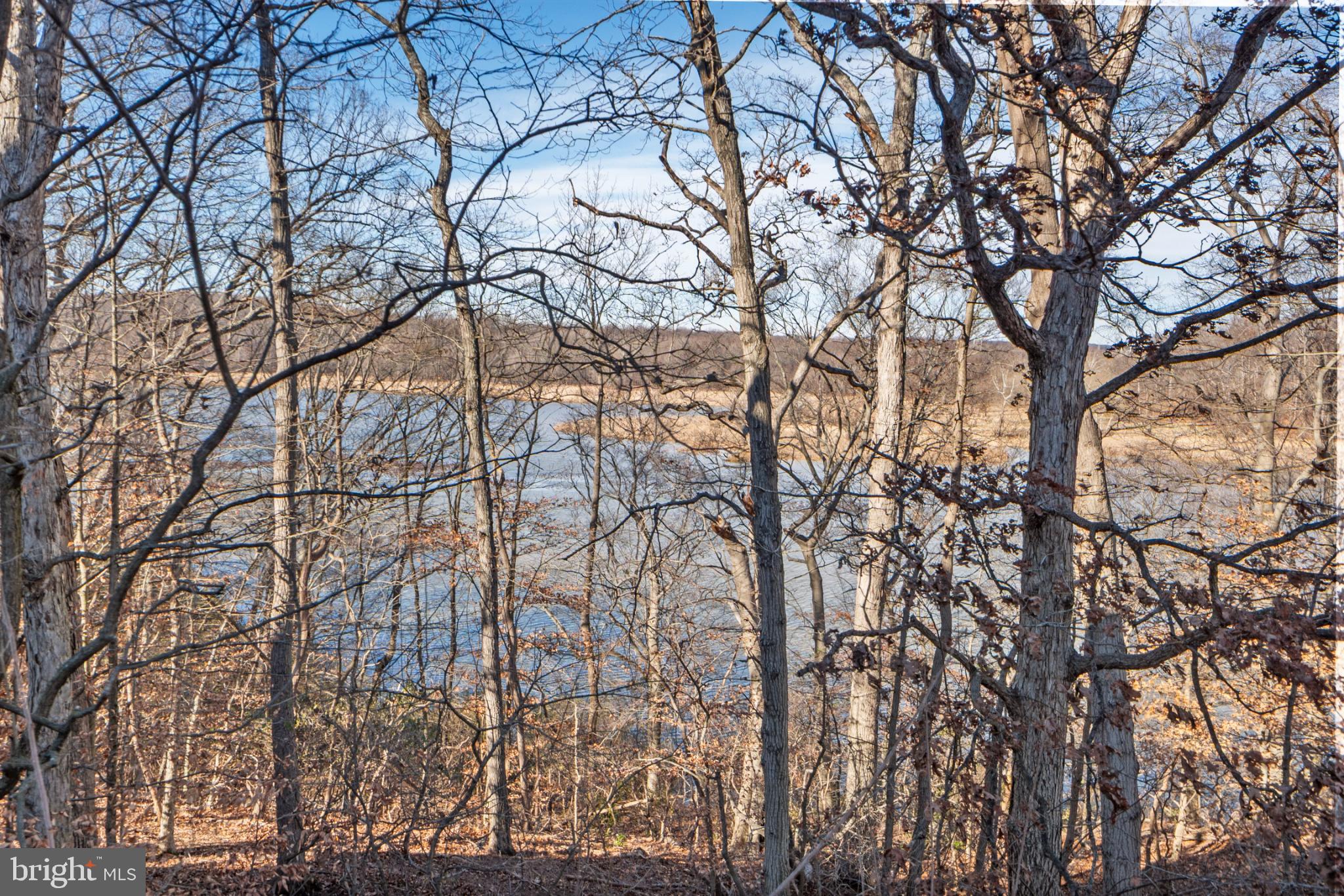 3110 RIVER BEND COURT G103