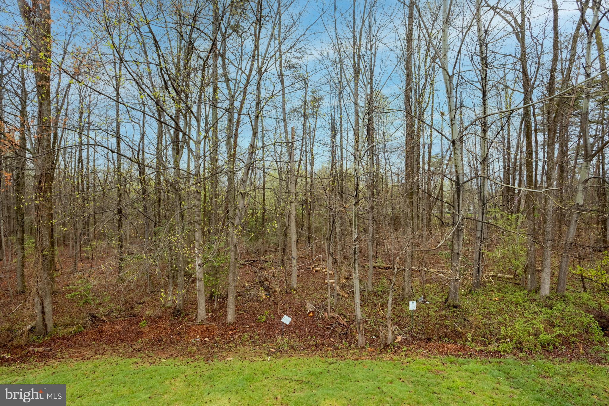 7740 ROTHERHAM DRIVE