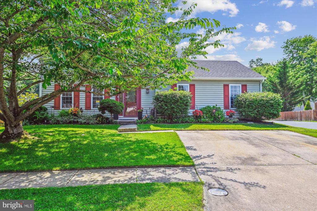 7138 Olivia Rd
