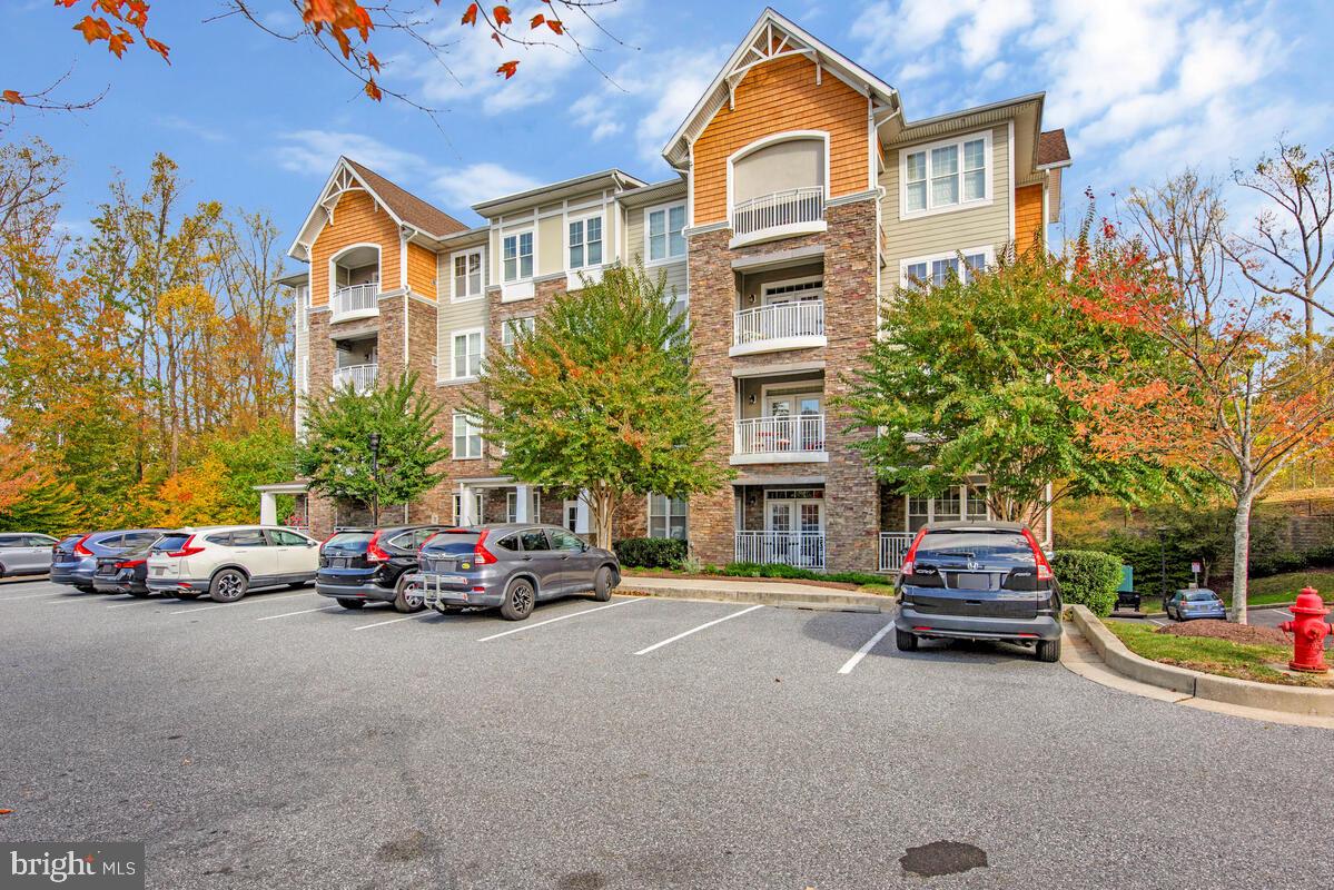 11 CLAY LODGE LANE 204