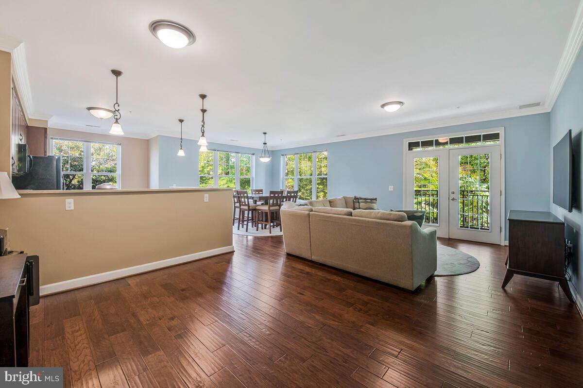 11 CLAY LODGE LANE 204