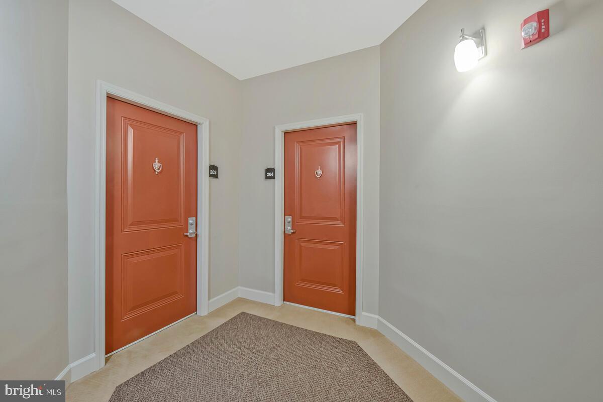 11 CLAY LODGE LANE 204