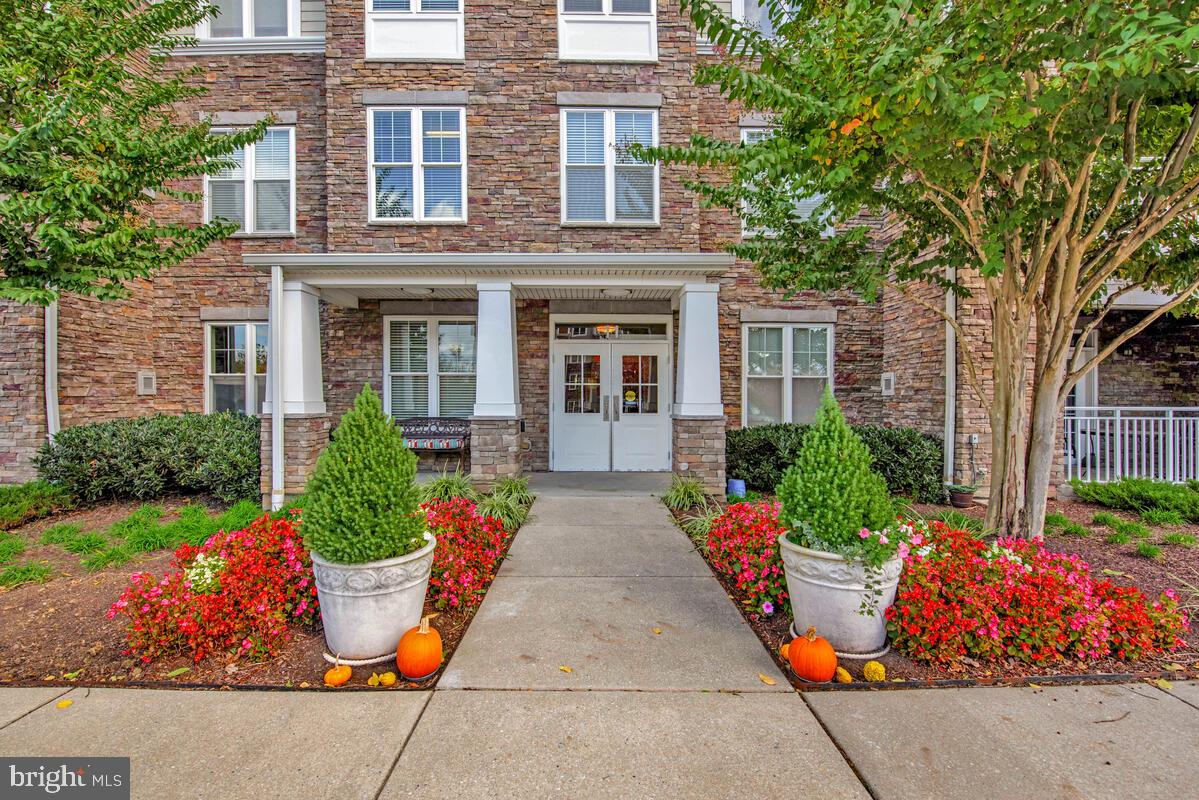 11 CLAY LODGE LANE 204