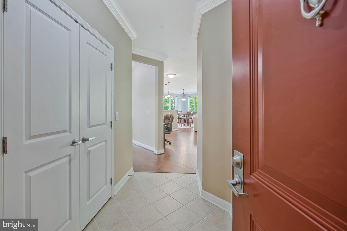 11 CLAY LODGE LANE 204