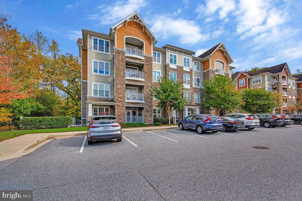 11 CLAY LODGE LANE 204