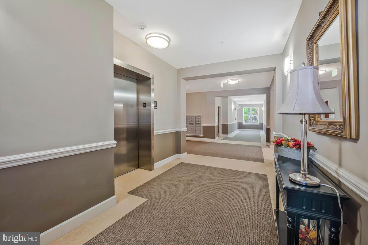 11 CLAY LODGE LANE 204