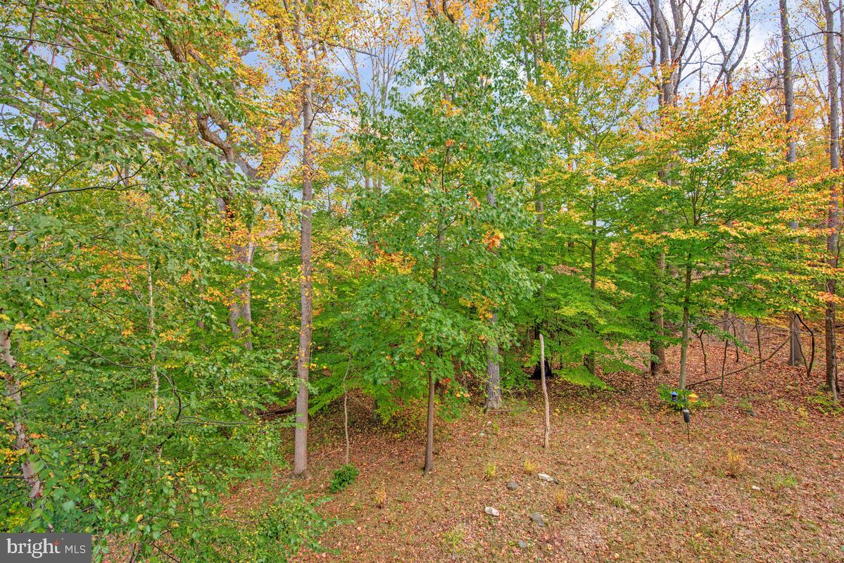 11 CLAY LODGE LANE 204