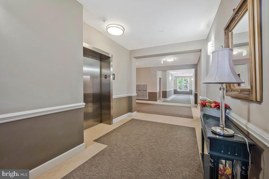11 CLAY LODGE LANE 204