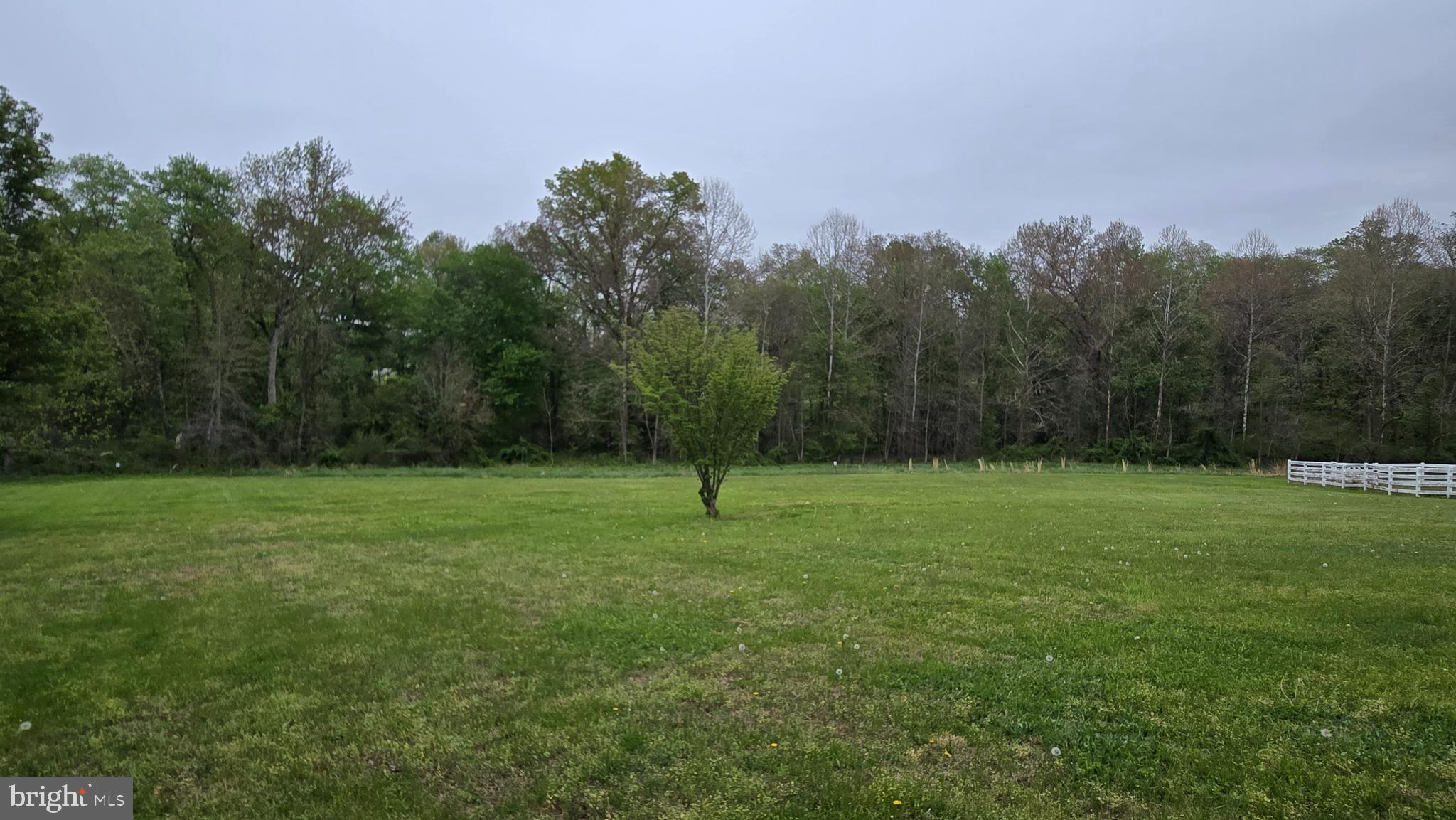 3636 WHEAT MILLER DRIVE