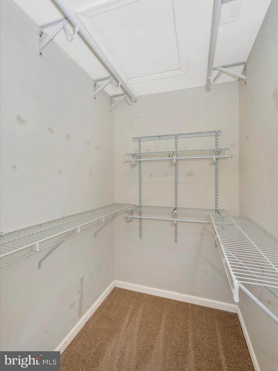 503 Ellison Ct