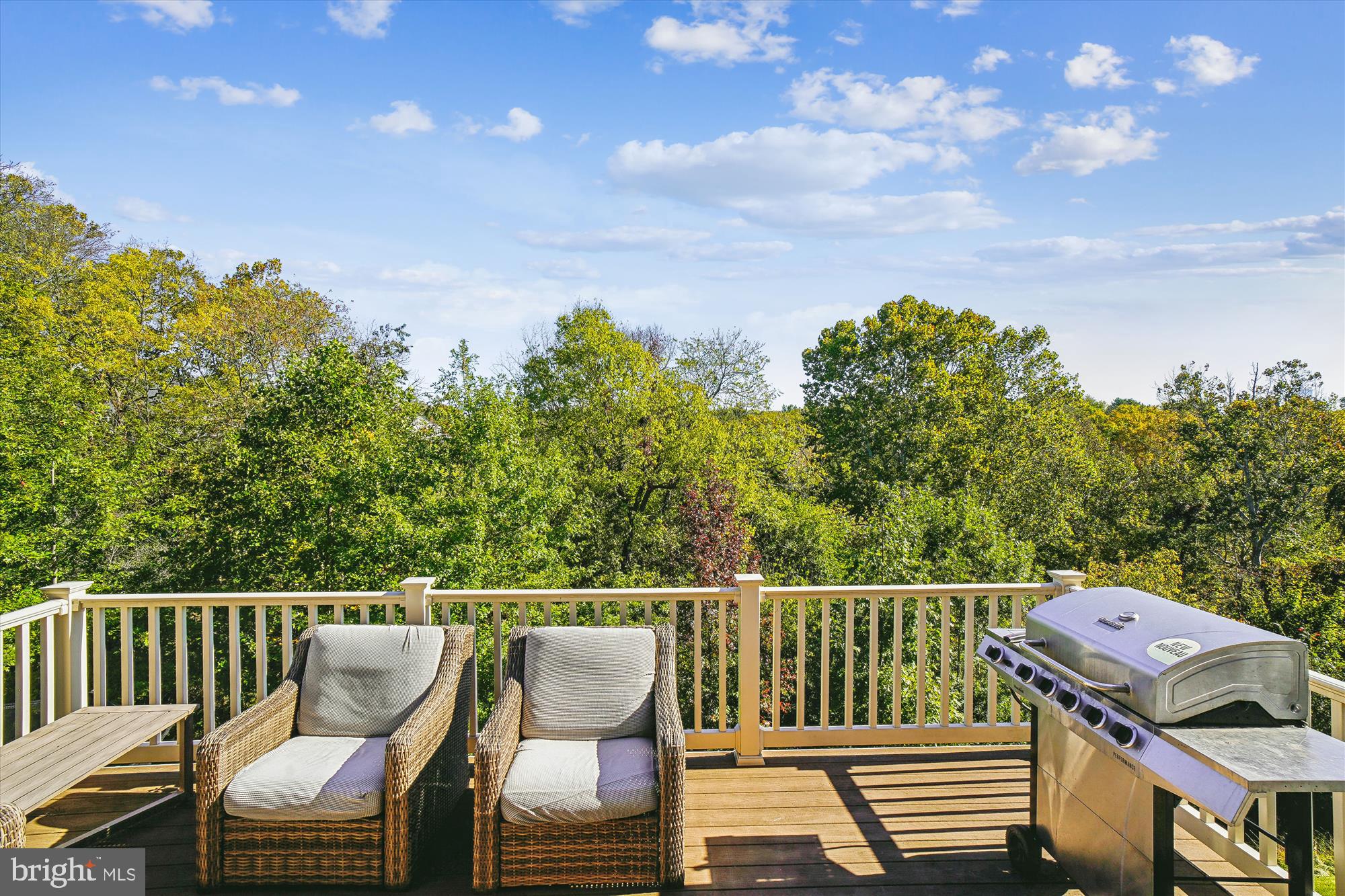 413 Potomac View Pkwy